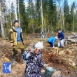 Работники ГЖД высадили 1,6 тыс. саженцев деревьев в Кировской области
